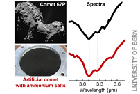 Puzzle About Nitrogen Solved Thanks to Cometary Analogues