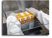 Growing Miniature Human Tissue On The International Space Station