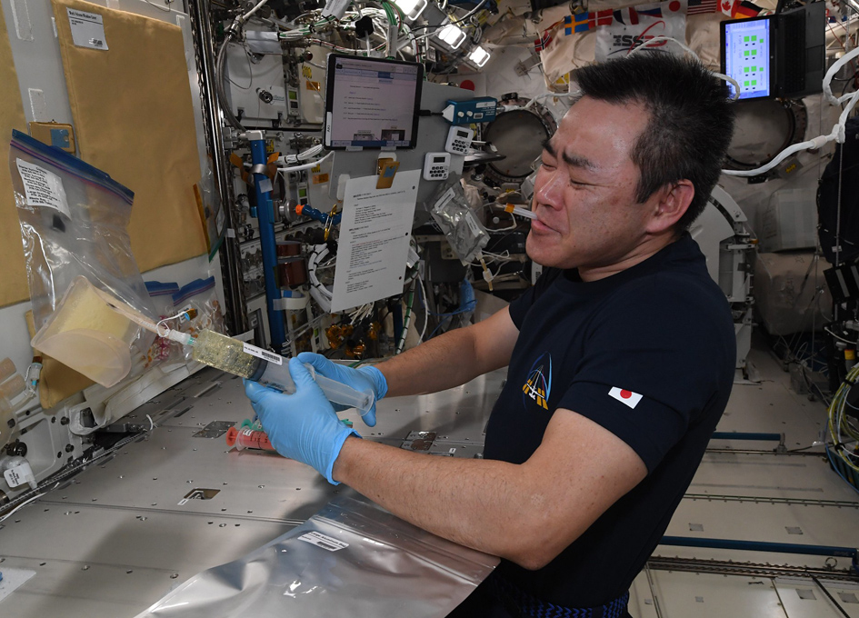 Biology coursework experiment 14 picture