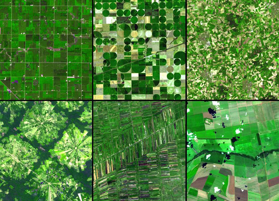 Climate Change and Its Environmental Impacts on Crop Growth