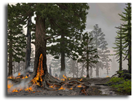 Wildfires May Have Sparked Ecosystem Collapse During Earth's Worst Mass Extinction