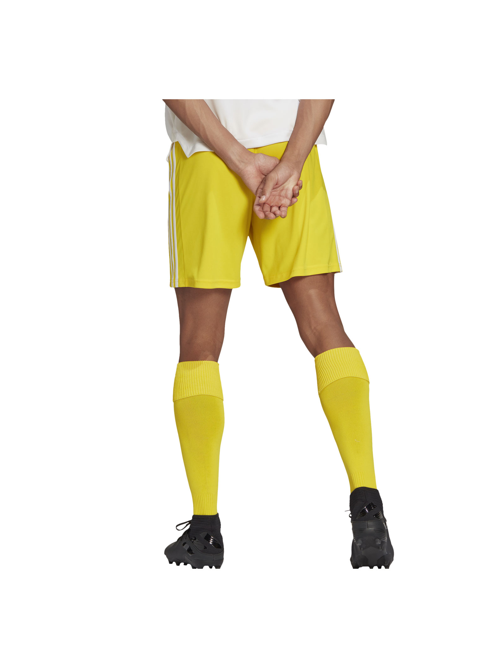 SQUAD 21 shorts - ADIDAS CORE - Sports Store