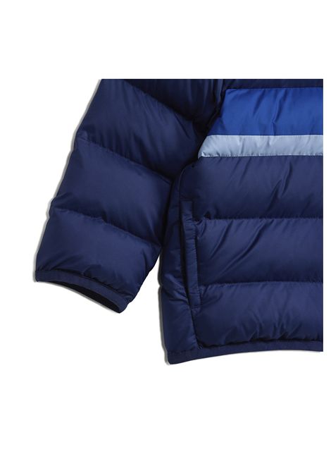 Giubbiino Adidas LK SD con Cappuccio Blu Infant ADIDAS CORE | Giubbini | JL7392-