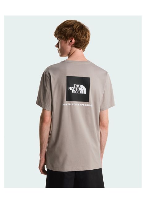 The North Face Evolution Box NSE Regular T-shirt Stone Slab Men THE NORTH FACE | T-shirt | NF0A8B6K-2MB