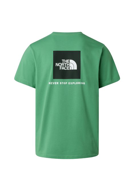 The North Face Evolution Box NSE Regular T-shirt Dimmed Algae Green Men THE NORTH FACE | T-shirt | NF0A8B6K-G57