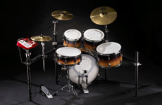 pearl e-pro live back