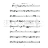 Maroni-Fundamentals of Mallet Playing Alternate Picture