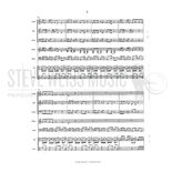 Turner-Parading Parrots (SP)-Steel Band Alternate Picture