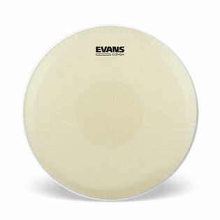 Evans Tri-Center Conga Head