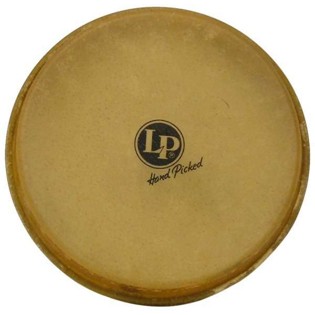 LP Rawhide Bongo Head