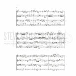 Bach-Invention a-Molll BWV784 arr. Hummel (SP)-2V/2M Alternate Picture