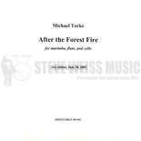 Torke-After the Forest Fire (SP)-M/FL/VC