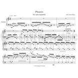 Harnsberger-Phoenix-M Alternate Picture