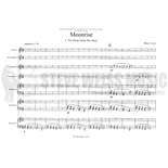 Tyson-Moonrise (SP)-B/Cro./2V/3M Alternate Picture