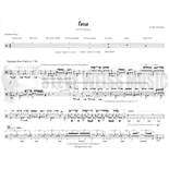 Wahlund-Tassa-DS Alternate Picture