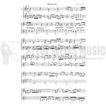 Udow-Schizoid (SP)-V/M Alternate Picture