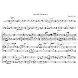 Vinao-Burritt Variations-M Alternate Picture