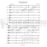 Tyson-Not Far From Here (perc. ens.) (SP)-B/2V/Cro./4M Alternate Picture