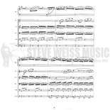 Beintus-Cordes et Lames (SP)-M/2VN/VA/VC/CB Alternate Picture