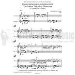 Ignatowicz-Glinska-Silence Pierced by Distraction, The (S-n2)-2M Alternate Picture