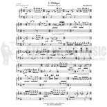 Hansen-Suite for Prepared Vibraphone-V Alternate Picture