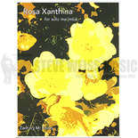 Koors-Rosa Xanthina-M