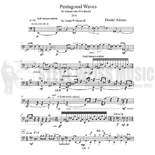 Adams, D.-Pentagonal Waves-5T