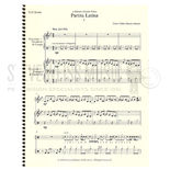 Pablo-Partita Latina (SP)-V/M/P Alternate Picture