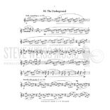 Schirripa-Portraits from a City Window-Tenor steel pan Alternate Picture