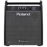 Roland Personal Monitor Amplifier (PM200) Alternate Picture