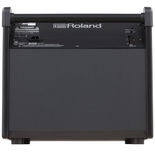 Roland Personal Monitor Amplifier (PM200) Alternate Picture