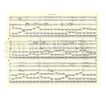 Previte-Terminal 5 (SP)-V/C/1T/P/Elec. PN/Elec. OR Alternate Picture