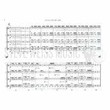 Wulff-Taiko a la Tom-Tom (SP)-P Alternate Picture