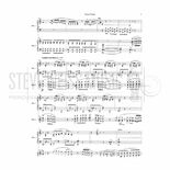 Piazzolla-Verano Porteno arr. Cheung (SP)-TWO MARIMBA VERSION Alternate Picture