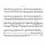 Houben-Vertigo (SP)-M/FL Alternate Picture