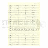 Naranjo-Tierra Pura Chamber Orchestra Version (SP)-Gyil/Orch. Solo part and orchestra study score ONLY Alternate Picture