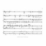 Vinao-Stress & Flow (SP)2B/2V/C/Cro./2X/2M/tamtam/electronics Alternate Picture