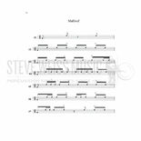 Sheronick-Riq: Basics of the Middle Eastern Tambourine (Online Audio/Video Access included) Alternate Picture