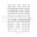 Fitzgibbon-Here for Now (SP)-Steel band Alternate Picture