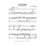 Steinmetz-False Summit (SP) - V/P Alternate Picture