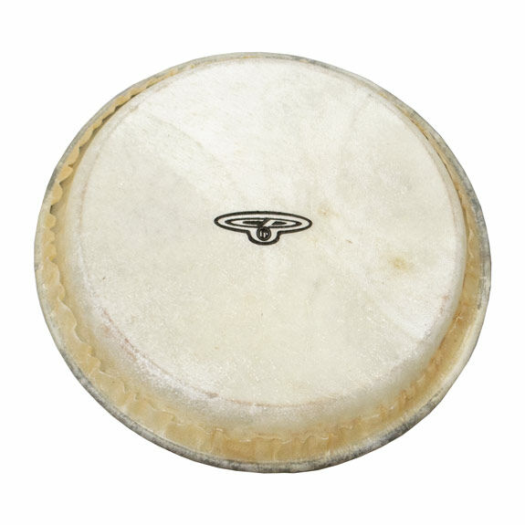 Latin Percussion CP221A 6-Inch Replacement Bongo Head - Fits CP221 Bongos, Made In India