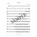 Hartenberger-Arlington (SP)-Solo SD/2V/2M/P/PN Alternate Picture