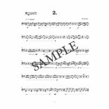 Antonio-12 Constructions for Timpani-4T Alternate Picture