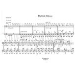 LeVan-Rhythmic Odyssey (2S)-2DS Alternate Picture