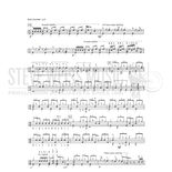 Morey-Solid Groove-DS Alternate Picture