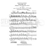 Stephans-Downside-Up-DS Alternate Picture