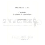 Zehm-Cappricio for Percussion and Chamber Orchestra
