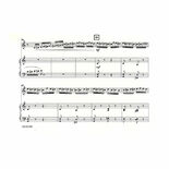 Rimsky-Korsakov-Flight of the Bumblebee arr. Meister/Davis (SP)-Mal/PN Alternate Picture