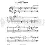 Cionek-Tide of Voices, A Alternate Picture