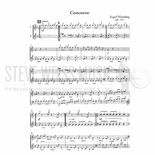 Henning-Concorso-2M Alternate Picture